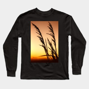 False Oat Grass at Sunset Long Sleeve T-Shirt